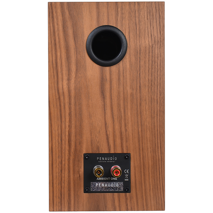 penaudio ambient one